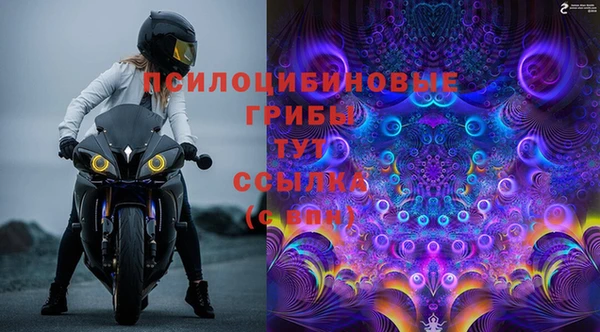 стафф Алексеевка