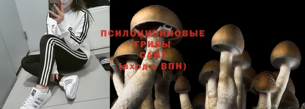стафф Алексеевка