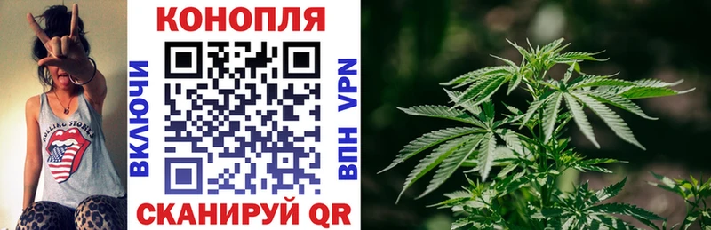 Конопля планчик Гатчина